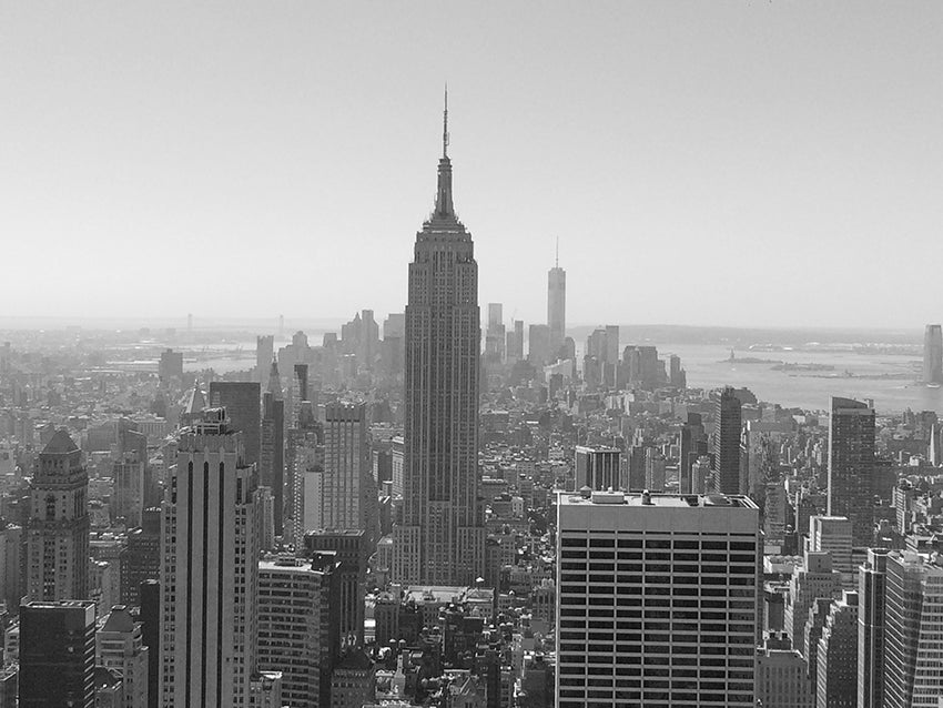 NY NY