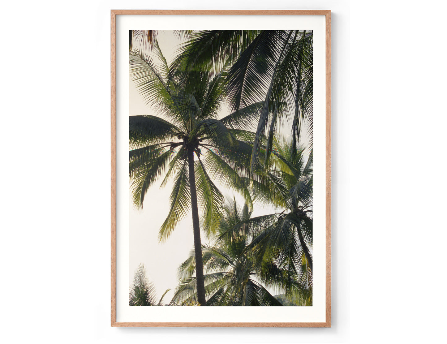SAMUI PALMS