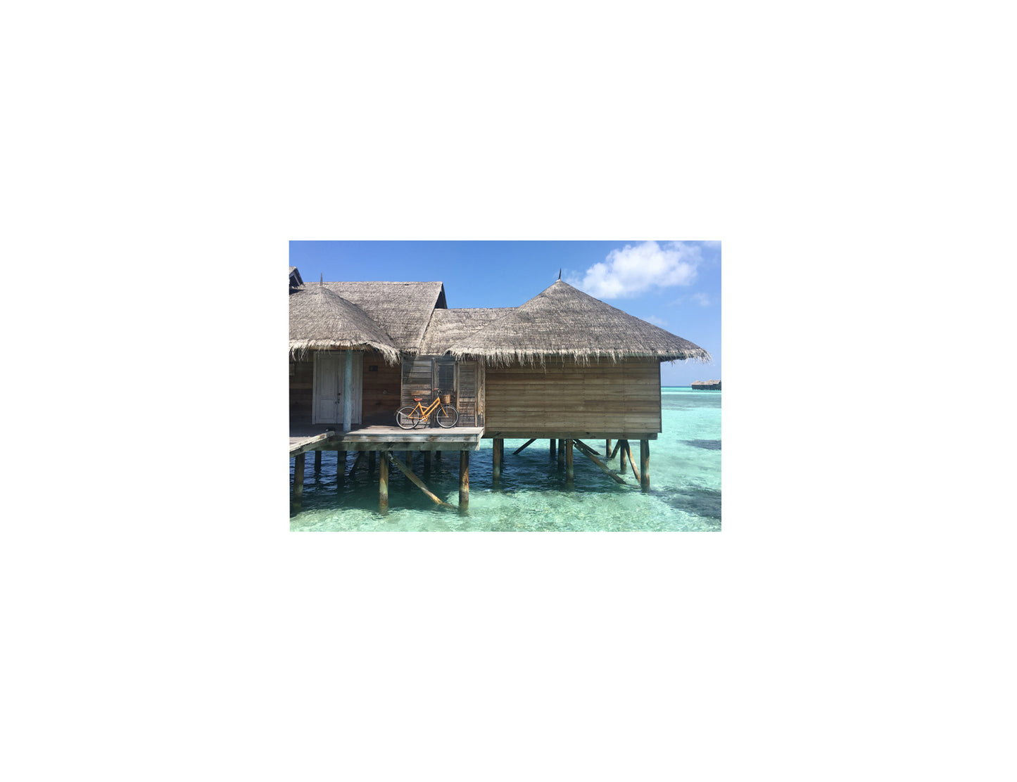 ISLAND HOME