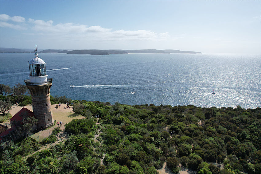 PALMY LIGHTHOUSE